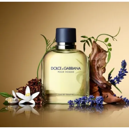 DOLCE & GABBANA POUR HOMME - EAU DE TOILETTE