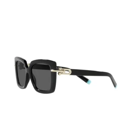 Lunettes de Soleil Femme TIFFANY&CO. TF4199