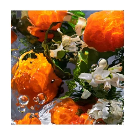 PARFUM UNISEXE GUERLAIN  AQUA ALLEGORIA MANDARINE BASILIC - GUERLAIN