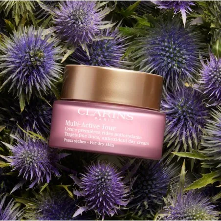 Crème de Jour Anti-âge CLARINS  CRÈME DE JOUR ANTIOXYDANTE - CLARINS