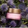 Crème de Jour Anti-âge CLARINS  CRÈME DE JOUR ANTIOXYDANTE - CLARINS