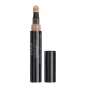COVER UP LONG WEAR CUSHION CONCEALER