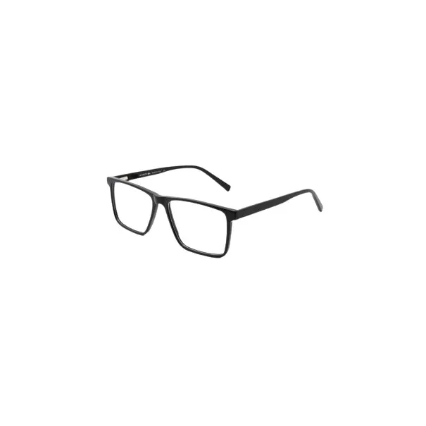 Lunettes de Vue Homme ALBERTO RICCI L2261