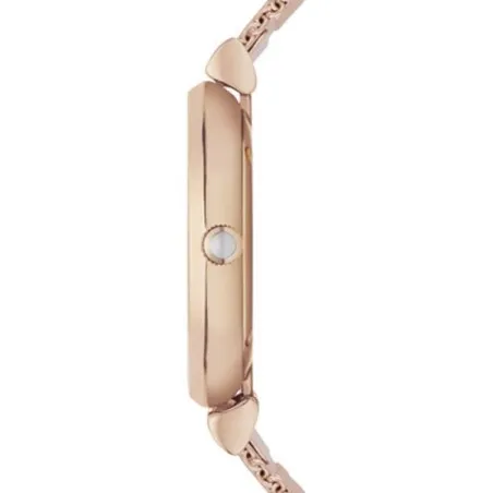 Montre Femme EMPORIO ARMANI AR1956 - Emporio Armani