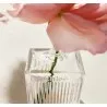 Eau de Parfum Femme CHLOÉ  LUMINEUSE - CHLOE