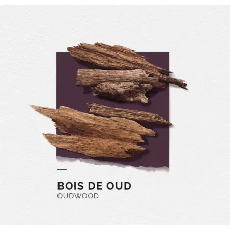 Eau de Parfum Homme Solinotes paris  BOIS DE OUD - Solinotes paris