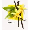 Eau de Parfum Femme Solinotes paris  VANILLE - Solinotes paris