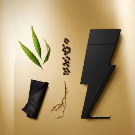 Eau de Parfum Homme CAROLINA HERRERA  BAD BOY LE PARFUM - CAROLINA HERRERA