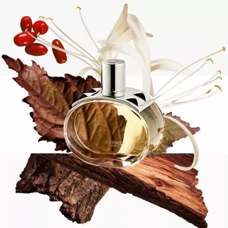Eau de Parfum Femme HERMES  BARÉNIA - HERMES