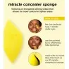 REAL TECHNIQUES  MIRACLE CONCEALER MEIKKISIENI - REAL TECHNIQUES