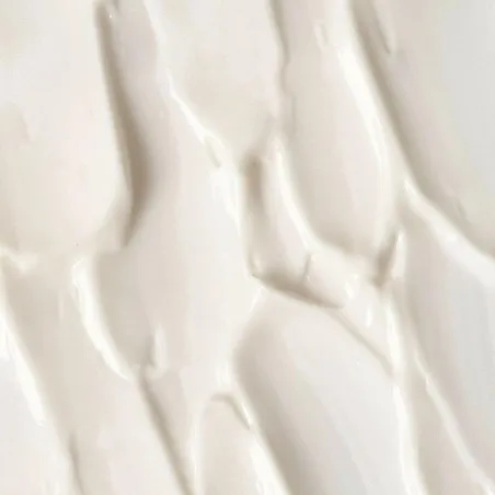 Crème de Jour Anti-âge PAYOT  SUBLIMATRICE JEUNESSE 50 ML - PAYOT