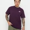 Vans Homme – T-shirt Vans Skate Classics – Violet - VANS