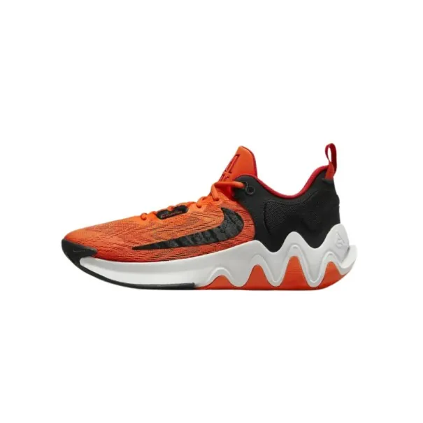 Chaussures de sport Homme GIANNIS IMMORTALITY 2 DM0825800 - NIKE