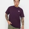 Vans Homme – T-shirt Vans Skate Classics – Violet - VANS