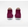 Converse – Chuck Taylor All Star saisonnier – BORDEAUX - CONVERSE