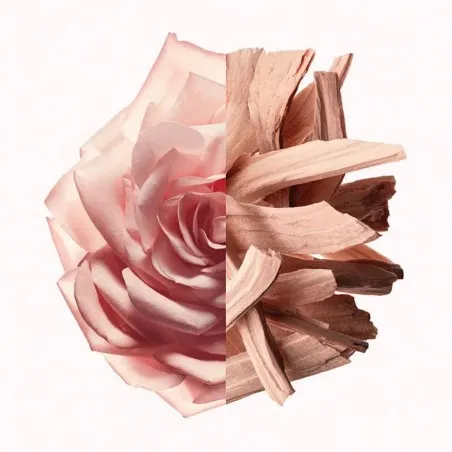 Eau de Parfum Femme GIVENCHY  RRESISTIBLE  NUDE VELVET - GIVENCHY