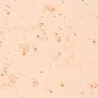 Gel Douche Femme adopt  QUELQUES MOTS D'AMOUR - adopt