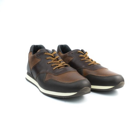 Basket Casual Homme BELTONI SNK 1855-M