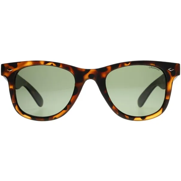 Lunettes de Soleil Homme POLAROID PLD6009/N/S SOGRC