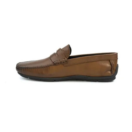 Mocassin Homme BELTONI  PORTOFINO MARRON CGN - BELTONI