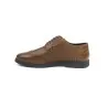 Chaussures Homme BELTONI  LIVIO MARRON CGN - BELTONI