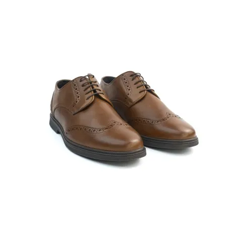 Chaussures Homme BELTONI  LIVIO MARRON CGN - BELTONI