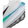Nike Homme – Nike Pegasus 40 -Teinte platine/Blanc/Vert Strike/Noir - NIKE