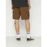 Shorts Homme VANS  VN0008KKCR61 - VANS