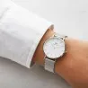 Montre Femme DANIEL WELLINGTON DW00100164 - Daniel Wellington