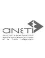 ANETI