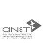 Logo-aneti