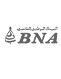 BNA